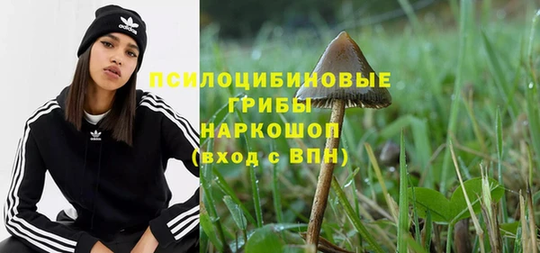 соль курить ск Аркадак